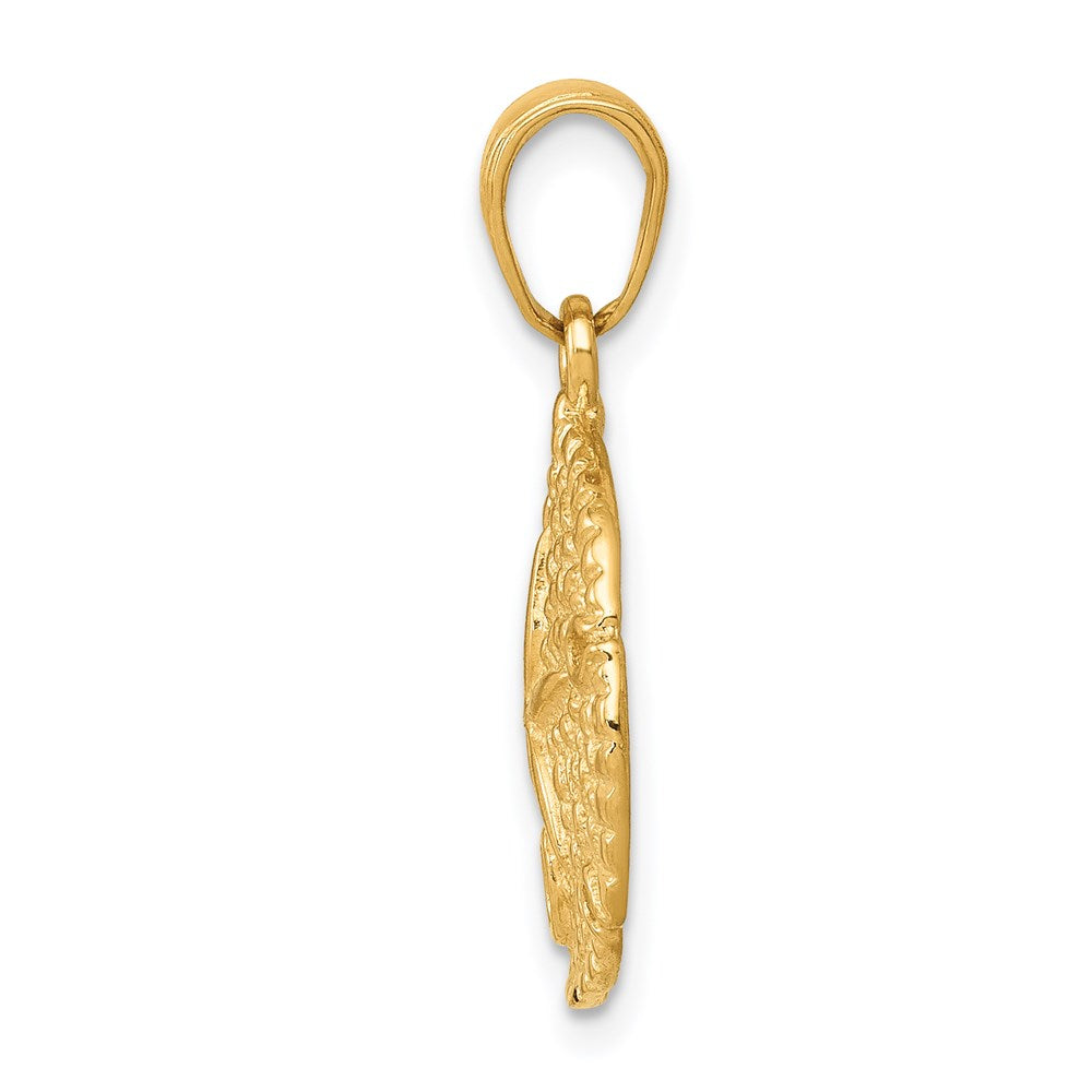 14 Karat Gelbgold Sanddollar-Anhänger
