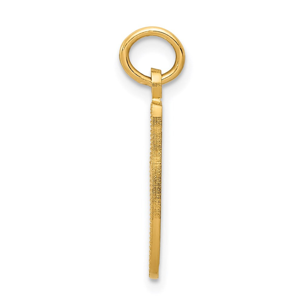14K Gelbgold Ballett Slipper Charm