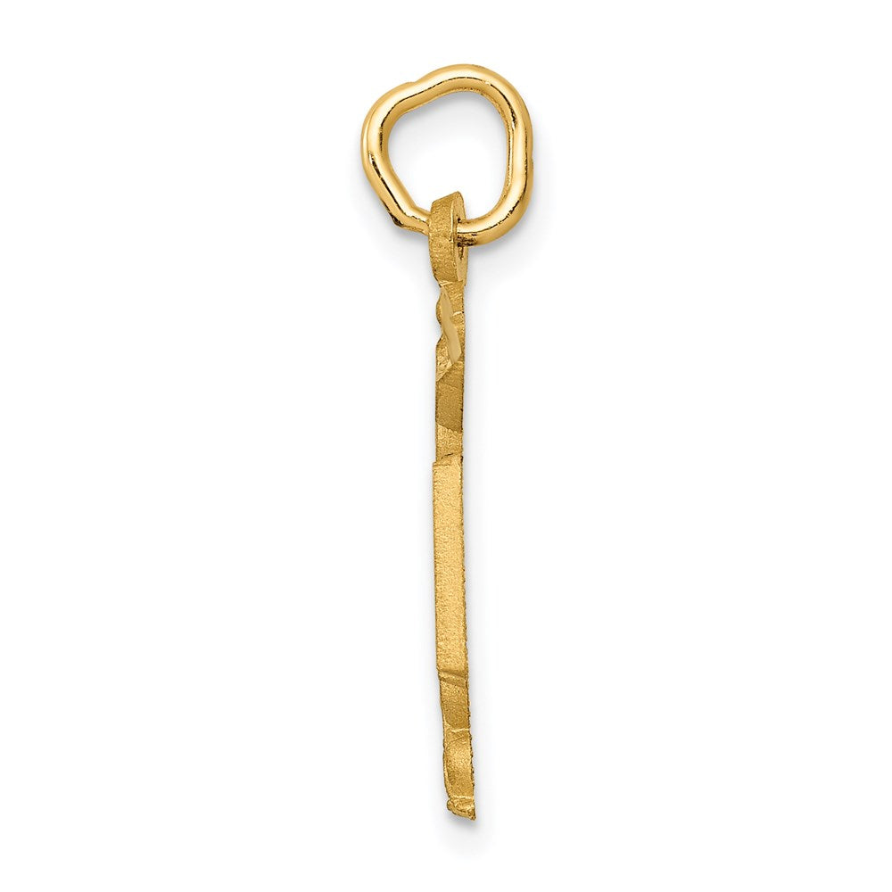 14K Gelbgold Rn Krankenschwester Charm