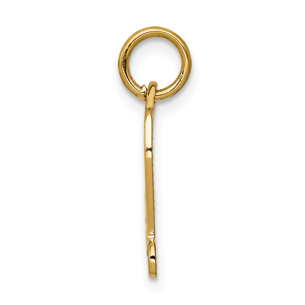 14K Gelbgold Diploma Charm