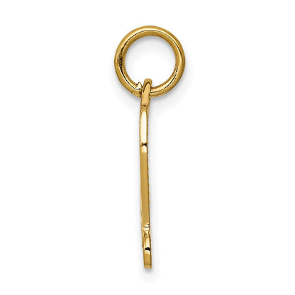 14K Gelbgold Diploma Charm