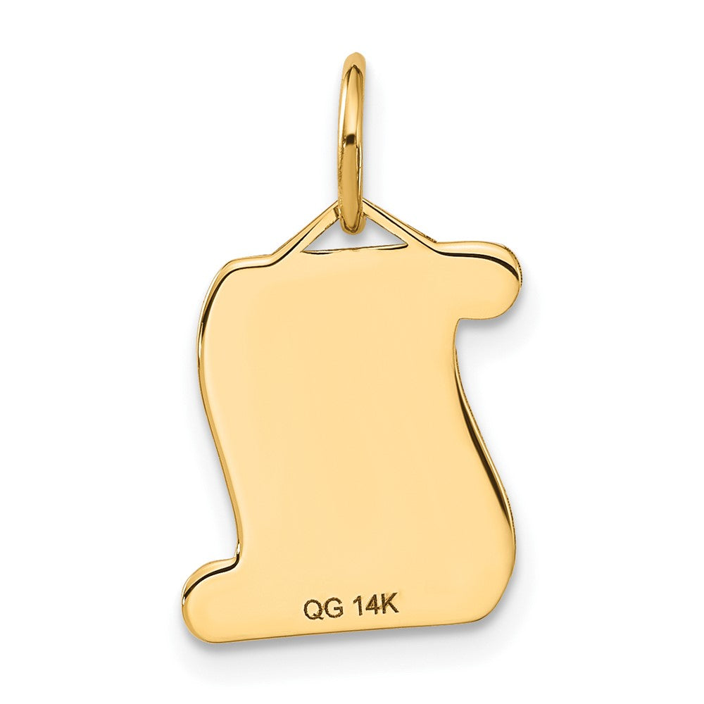 14K Gelbgold Diploma Charm