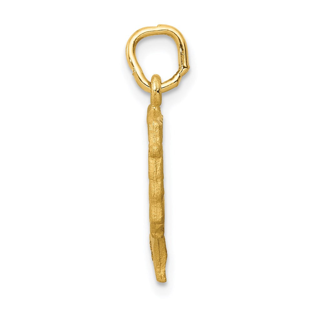 14K Gelbgold Satiniert Vorderseite / Poliert Rückseite Nefertiti Charm