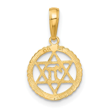 14K Gelbgold Stern Of David und Chai in Kreis Anhänger