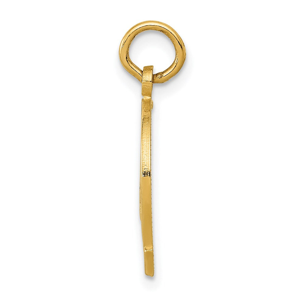 14K Gelbgold Hufeisen Charm