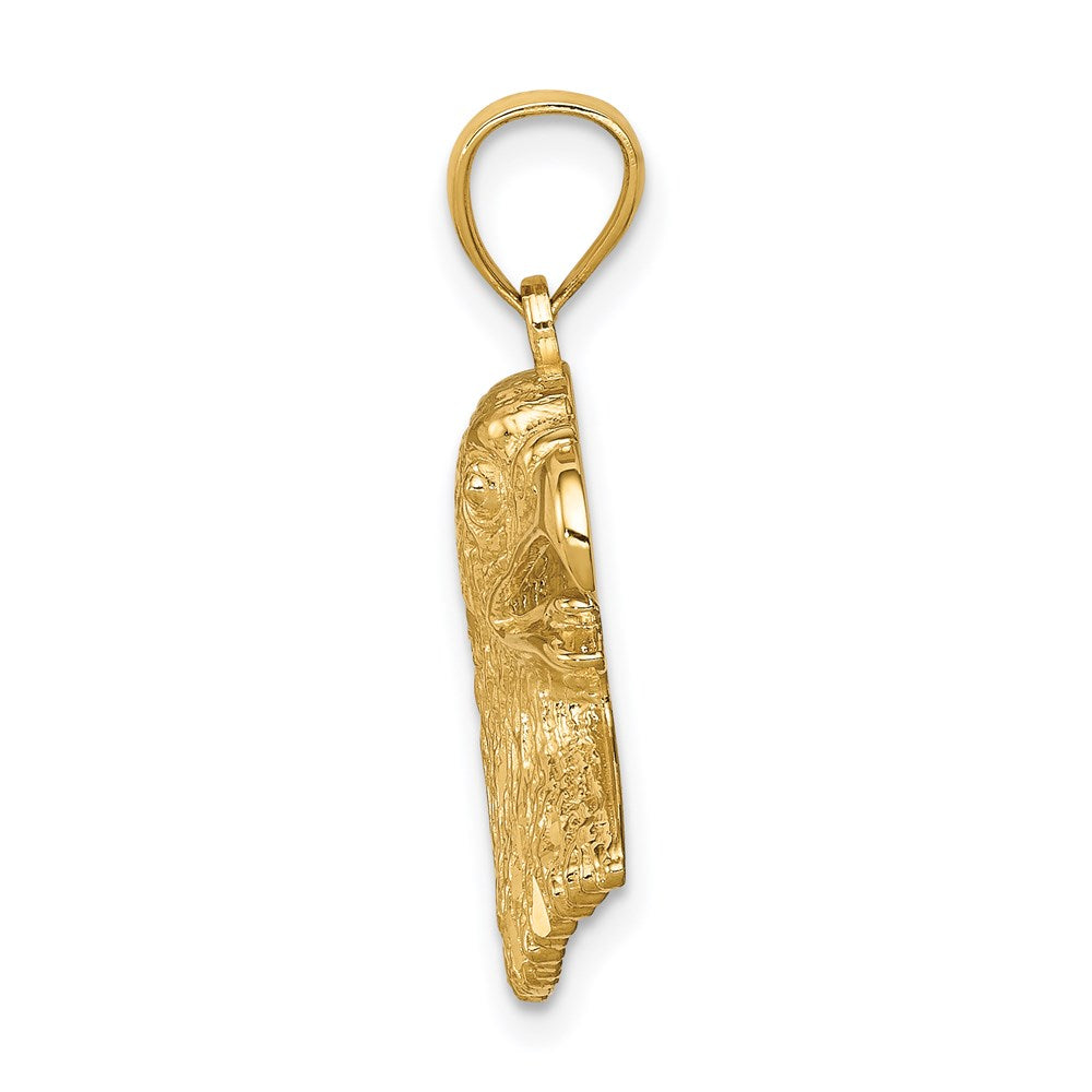 14K Gelbgold Adler-Anhänger, diamantgeschliffen