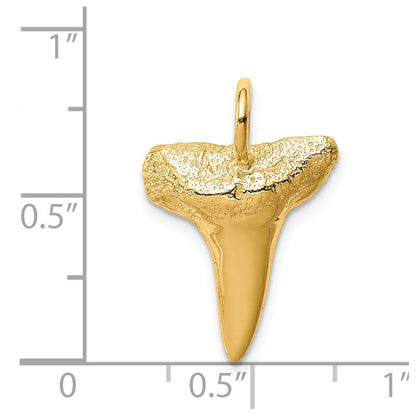 14K Gelbgold Haifischzahn-Anhänger