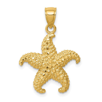 14K Gelbgold Seestern-Anhänger