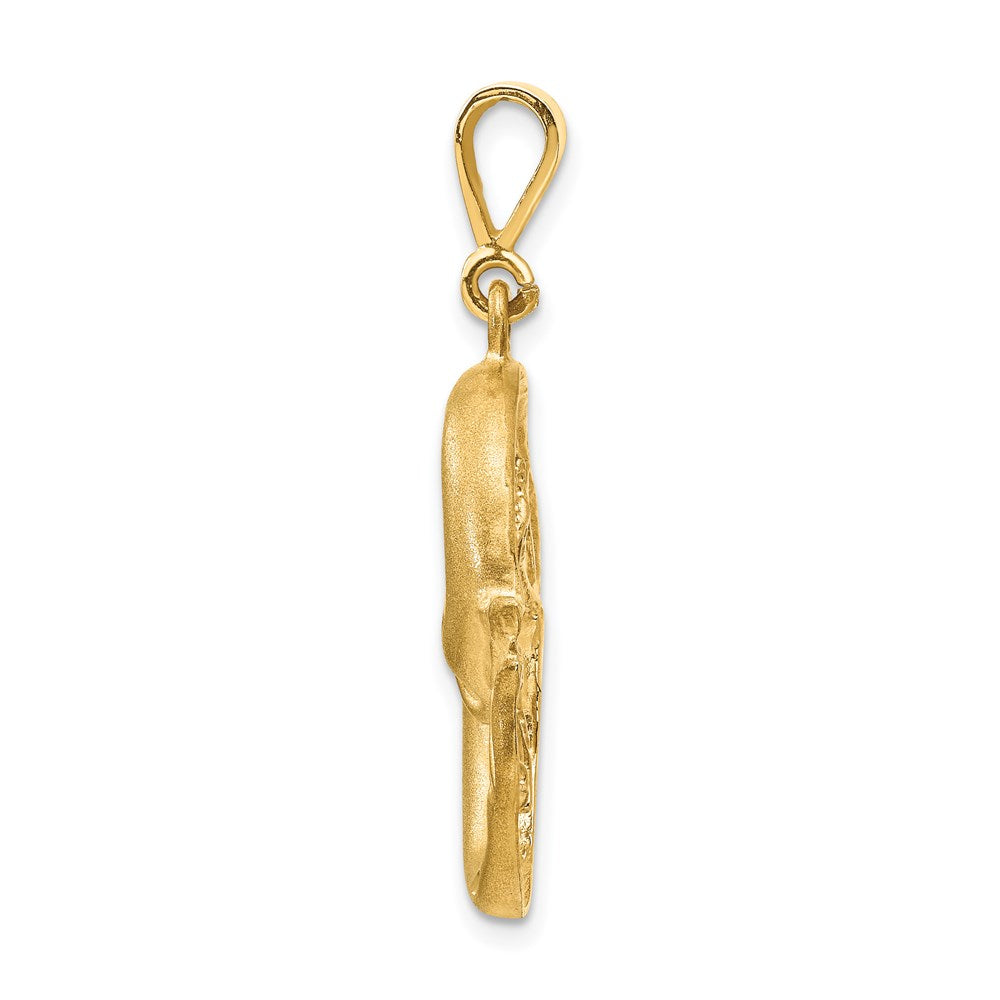 14K Gelbgold Satin-Diamantschliff Fische Sternzeichen-Charm