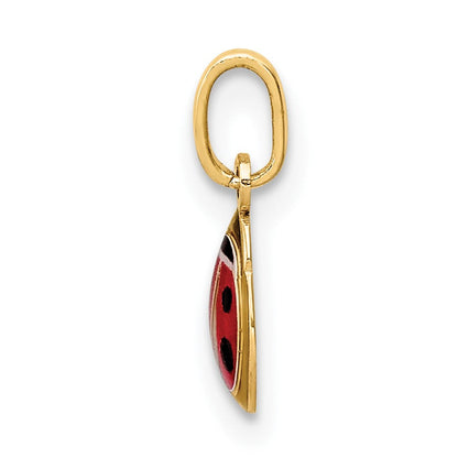14K Gelbgold Emaille Marienkäfer Charm