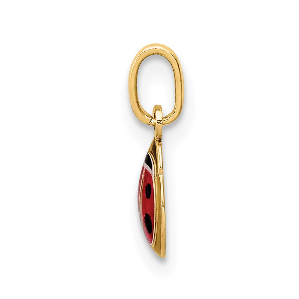 14K Gelbgold Emaille Marienkäfer Charm