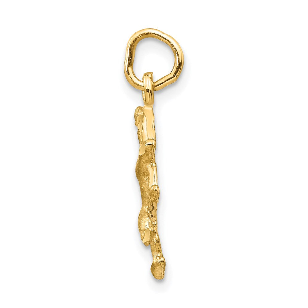 14K Gelbgold Satiniert Diamantiert Leo Tierkreis Charm