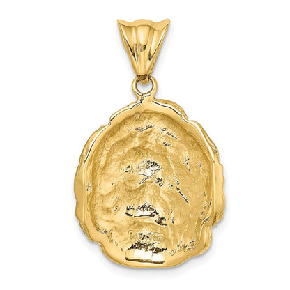 14K Gelbgold Charm mit satinierter und polierter wirbelnder Haar-Frauengesicht-Motiv