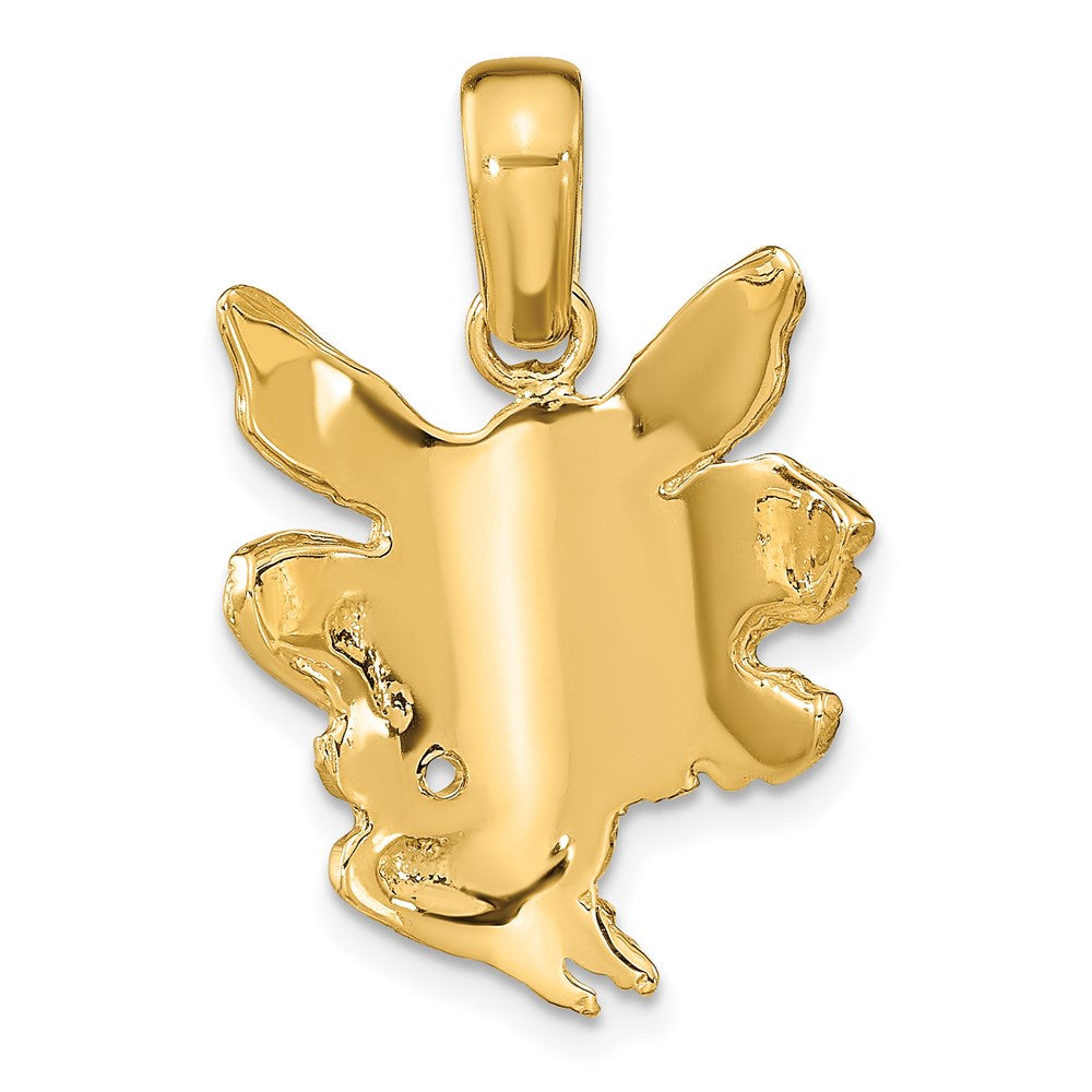 14K Gelbgold Feen-Charm, satiniert und poliert