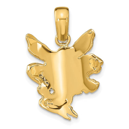14K Gelbgold Feen-Charm, satiniert und poliert