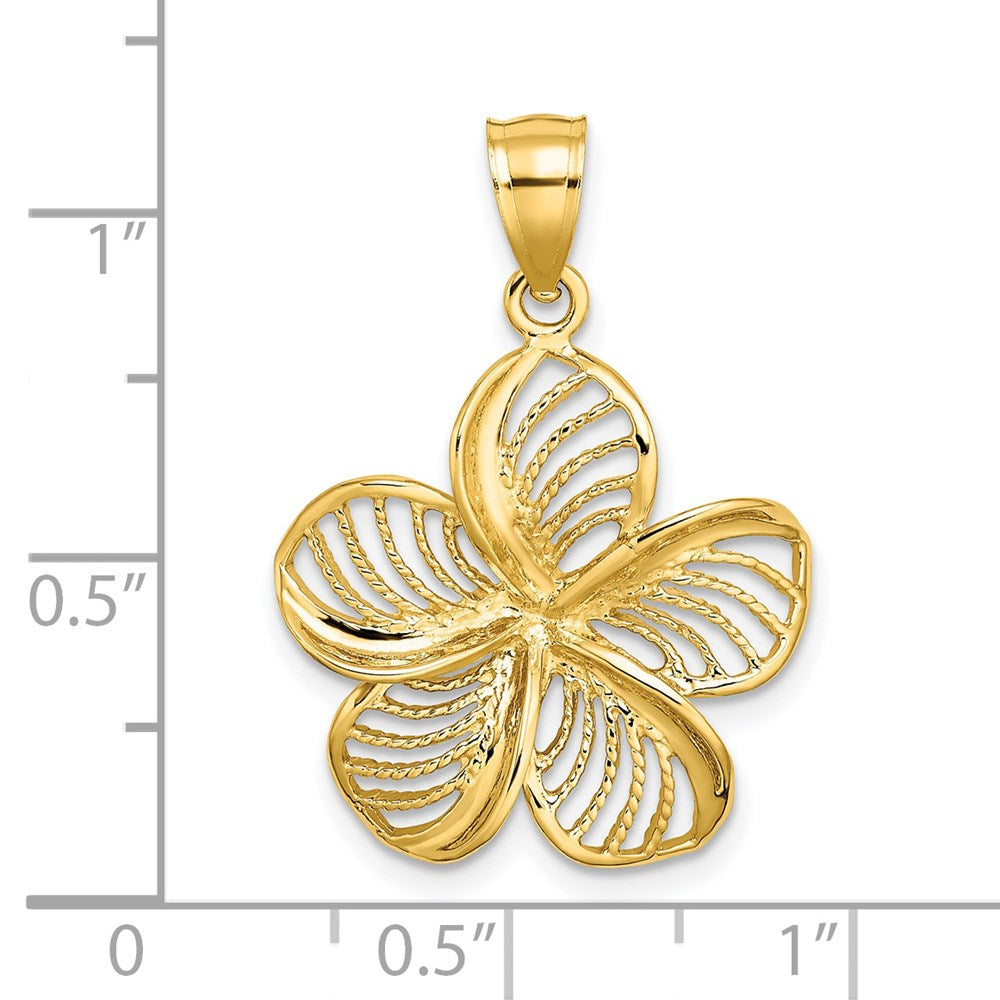 14 Karat Gelbgold Plumeria-Blüten-Charm, poliert und mit Perlrand