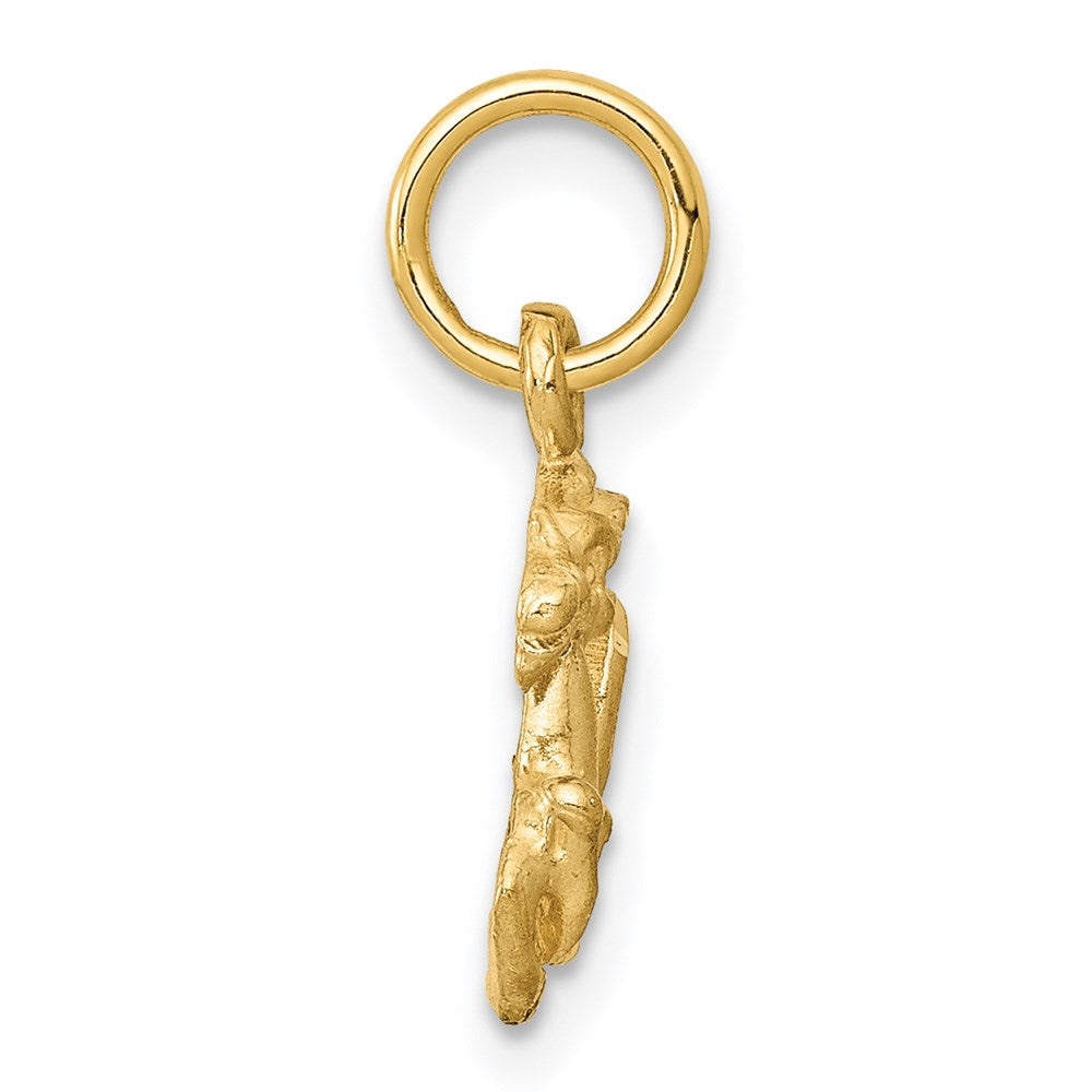 14K Gelbgold Satiniert Diamantiert Capricorn Tierkreis Charm