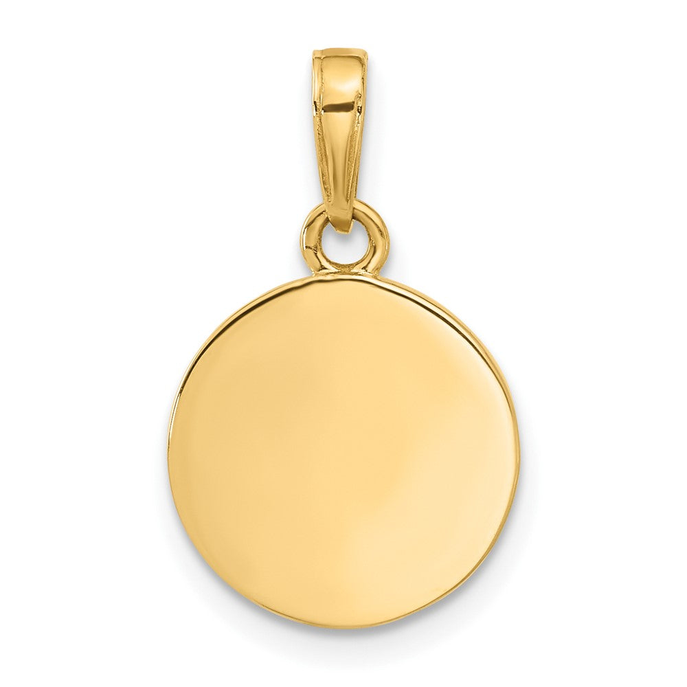 14K Gelbgold Poliert mit Blau Emaille und Klar Epoxid Resin It Junge Anhänger