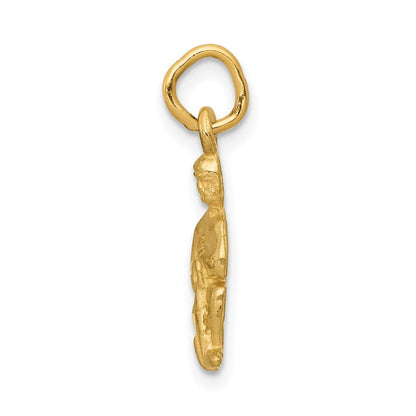 14K Gelbgold Satiniert Diamantiert Aquarius Tierkreis Charm