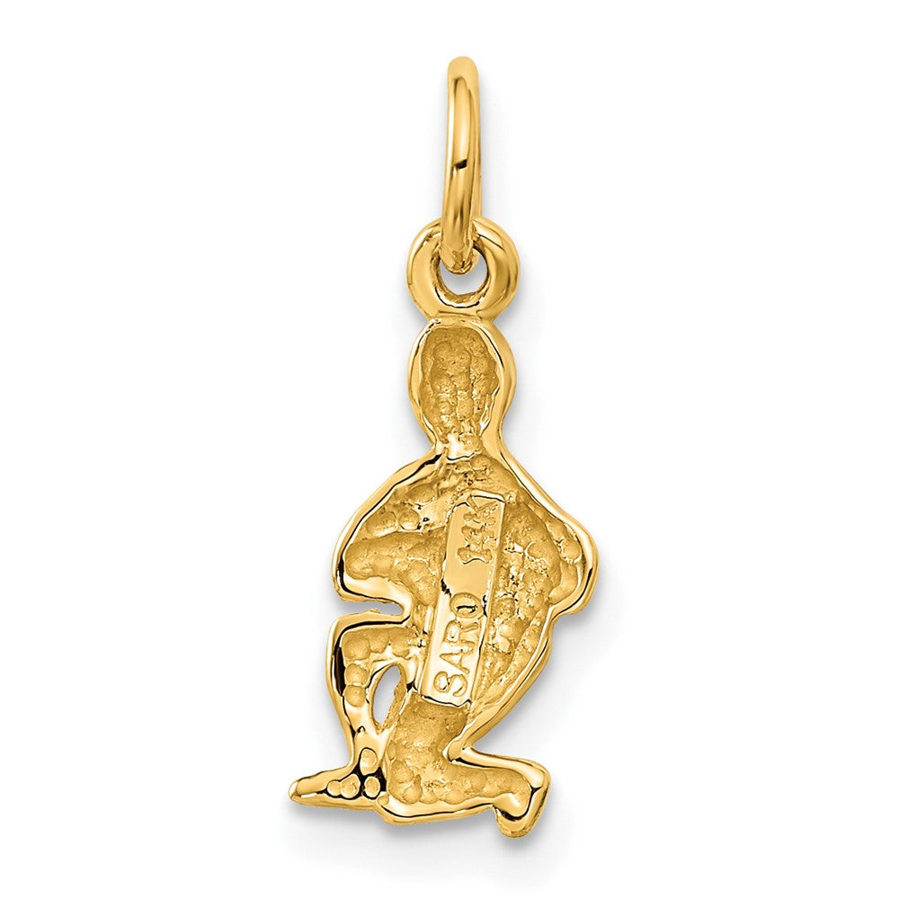 14K Gelbgold Satiniert Diamantiert Aquarius Tierkreis Charm