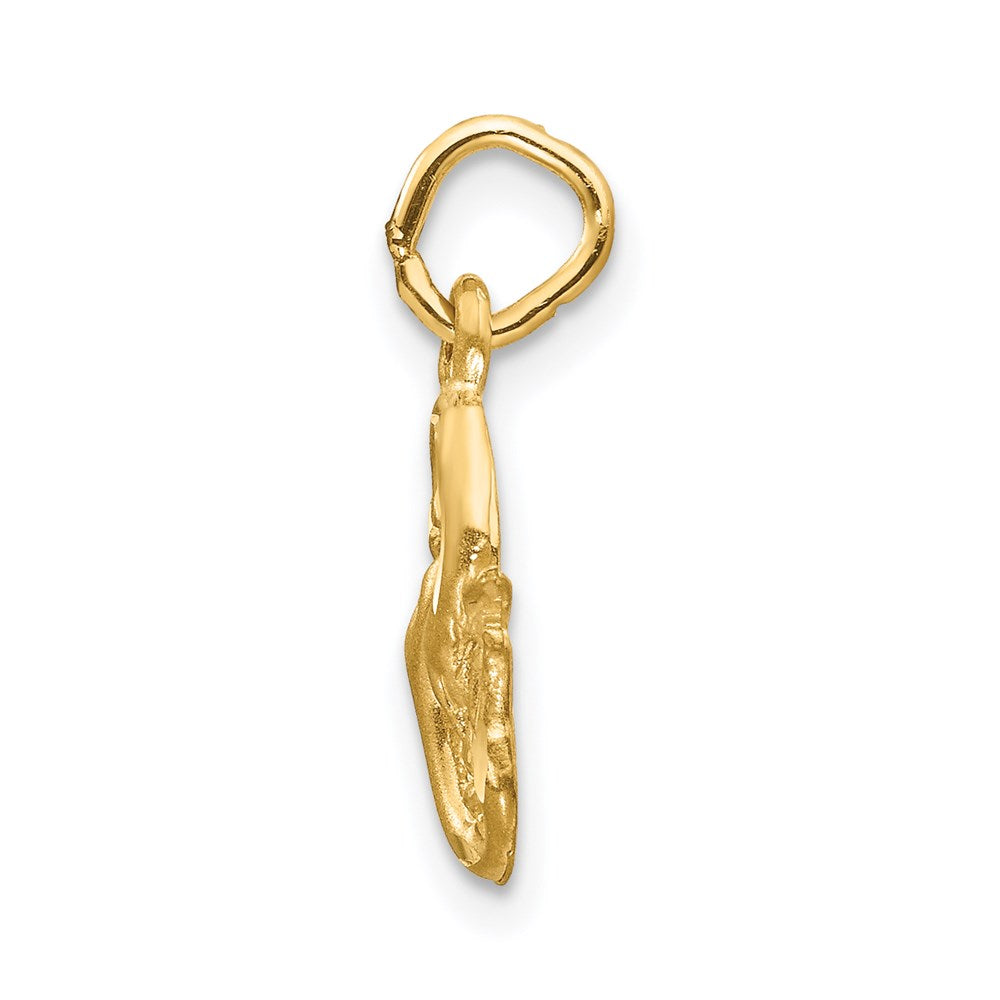 14K Gelbgold Satiniert Diamantiert Pisces Tierkreis Charm