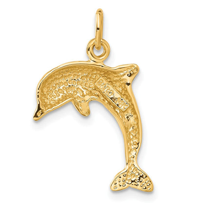 14K Gelbgold Delfin Charm
