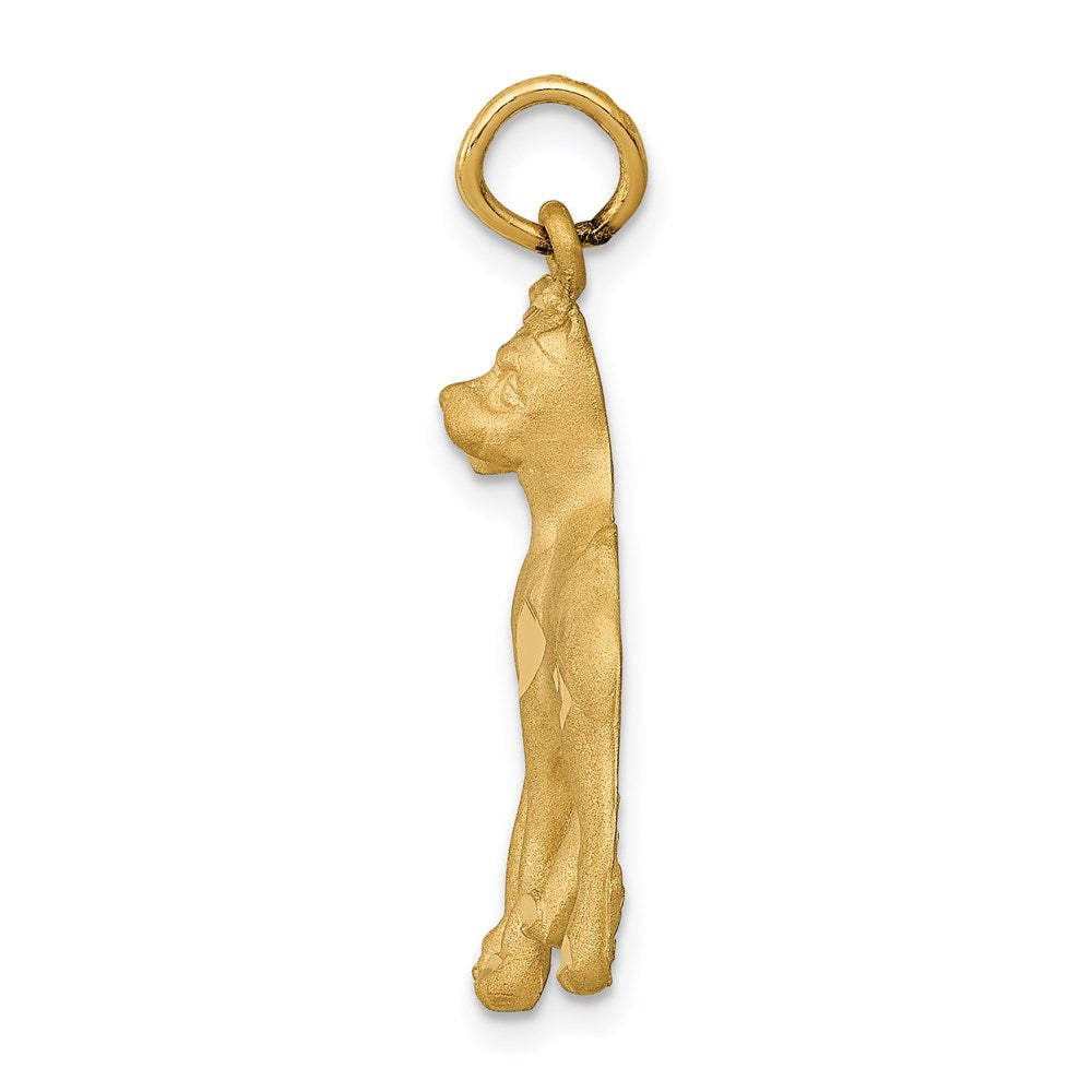 14K Gelbgold massiver polierter Boxer-Charm