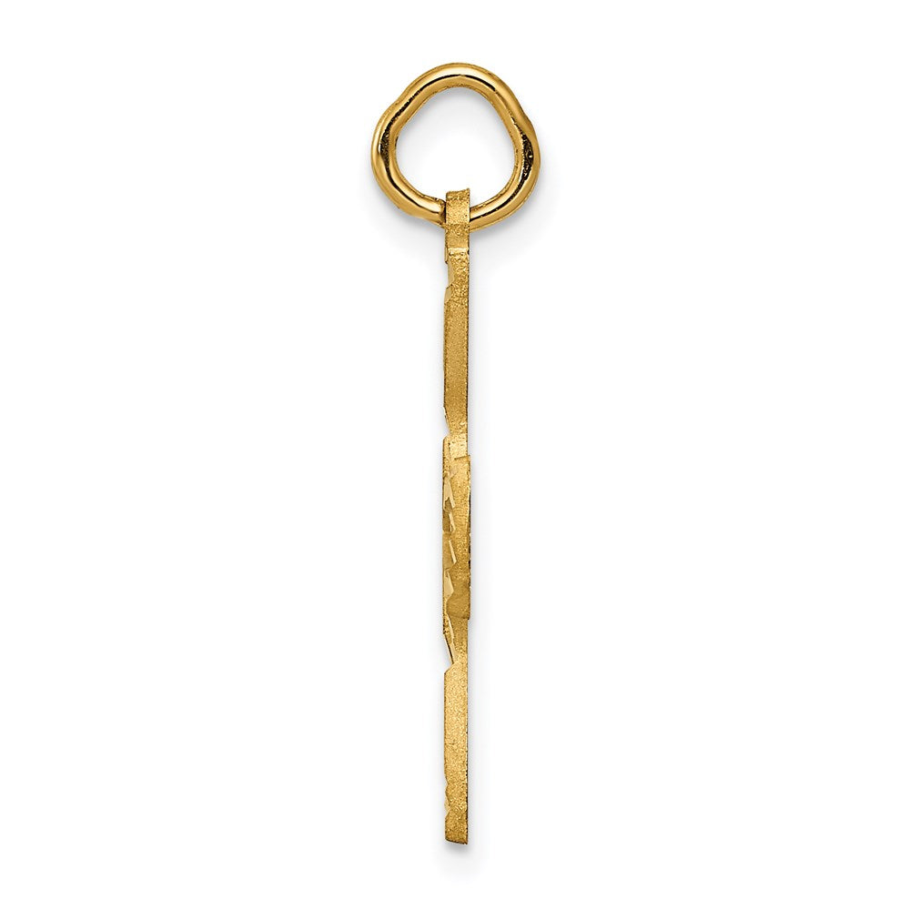 14K Gelbgold Satiniert und Diamantiert Taube Charm