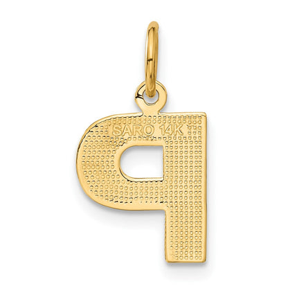 14K Gelbgold 14ky Satiniert Diamantiert Buchstabe P Initiale Charm