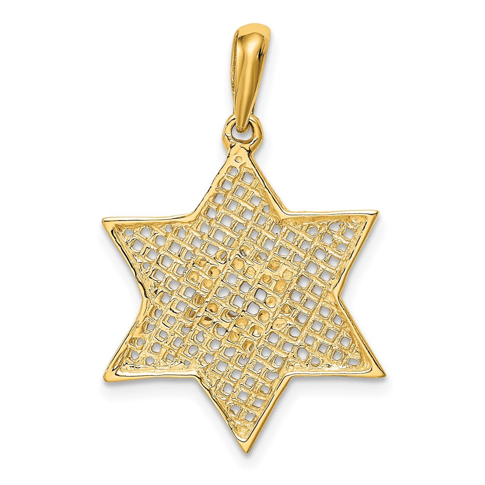 14K Gelbgold & Rhodium massiver polierter Davidstern-Charm mit Netzmuster