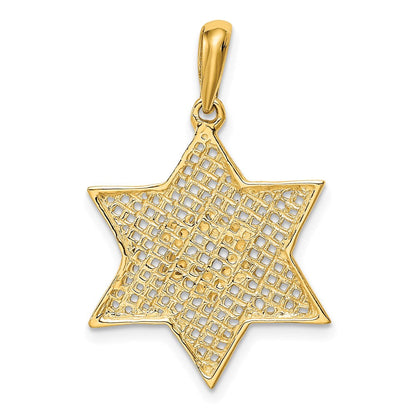 14K Gelbgold & Rhodium massiver polierter Davidstern-Charm mit Netzmuster