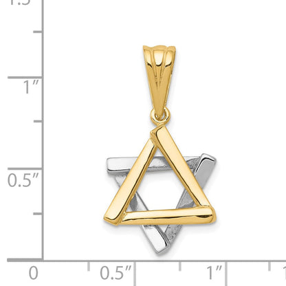 14K Bicolor-Gold Davidstern-Anhänger