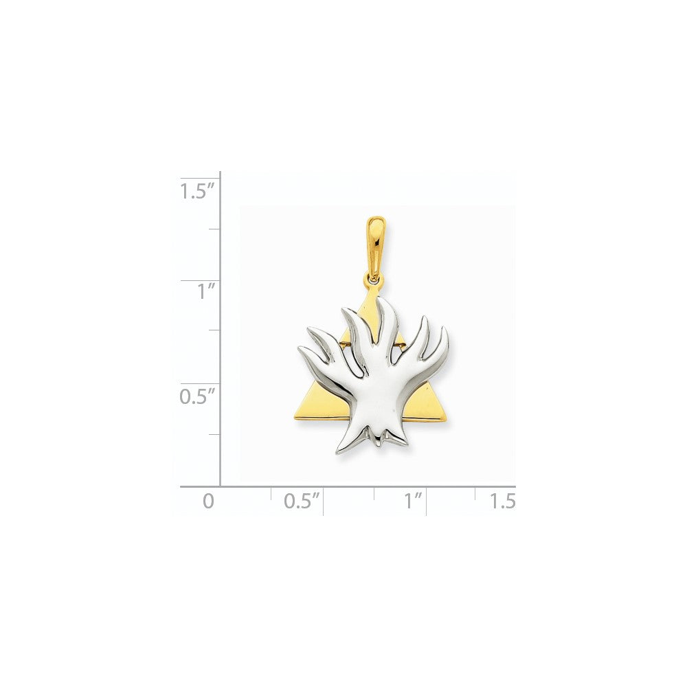 14K Bicolor Gold Fancy Davidstern-Anhänger