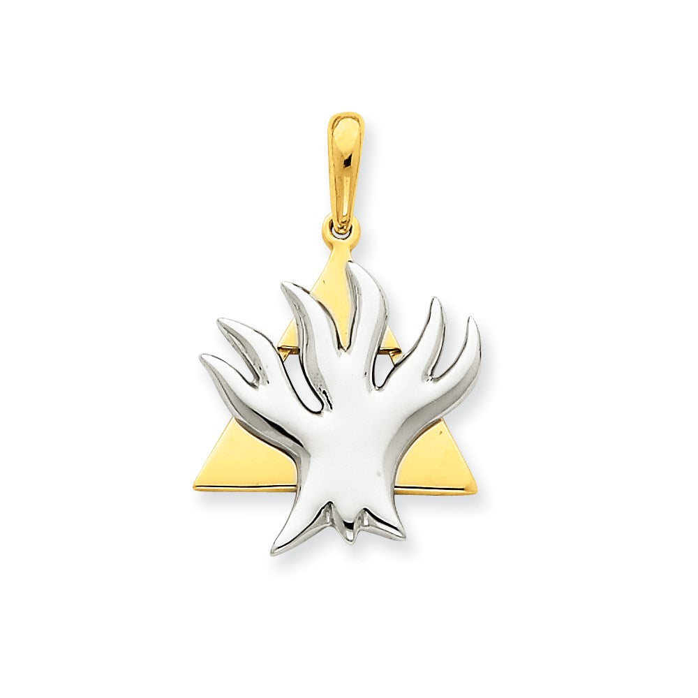 14K Bicolor Gold Fancy Davidstern-Anhänger