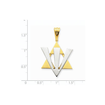 14K Bicolor-Gold Fancy Davidstern-Anhänger