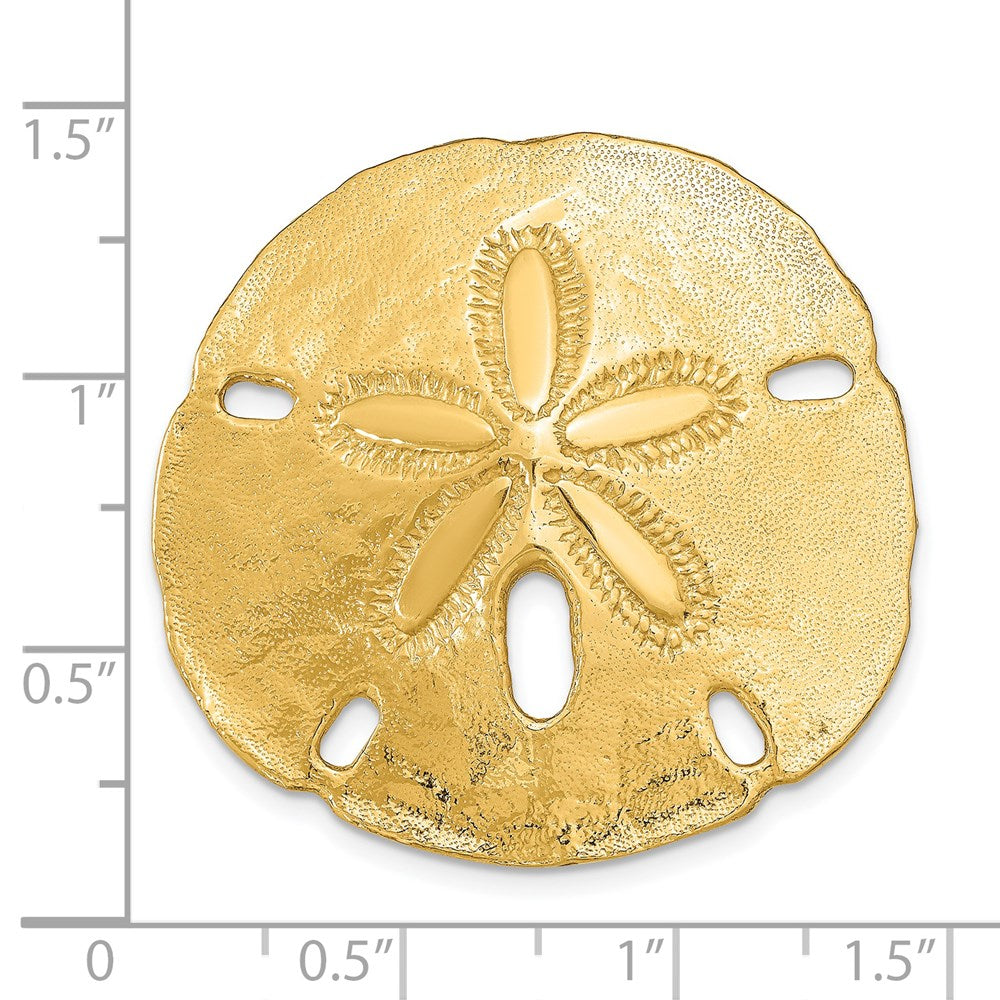 14K Gelbgold Passt Up To 8mm und 10mm Mittel Sand Dollar Anhänger