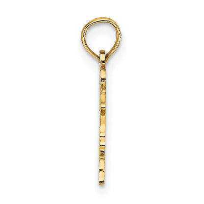 14K Gelbgold Massiv Virginia State Anhänger