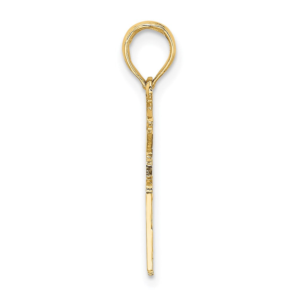 14K Gelbgold Registered Krankenschwester Charm