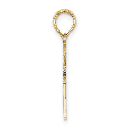 14K Gelbgold Registered Krankenschwester Charm