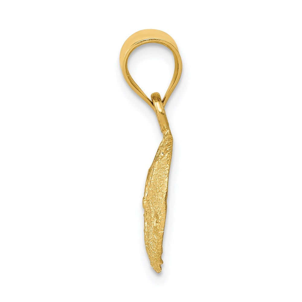 14K Gelbgold Massiv Poliert Lasergraviert-cut Sand Dollar Anhänger