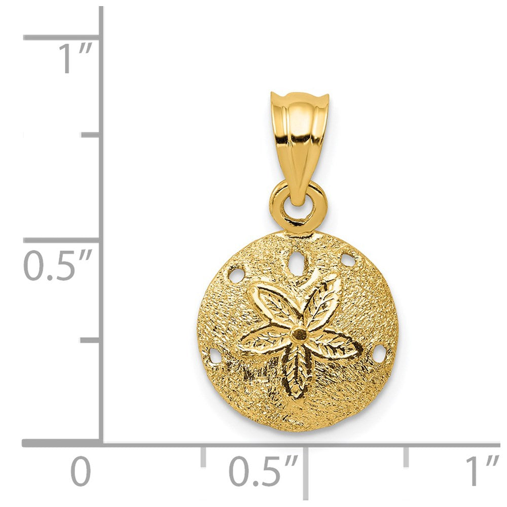 14K Gelbgold Massiv Poliert Lasergraviert-cut Sand Dollar Anhänger