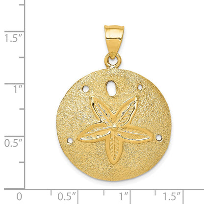 14K Gelbgold Massiver Polierter Lasergeschnittener Sanddollar-Anhänger