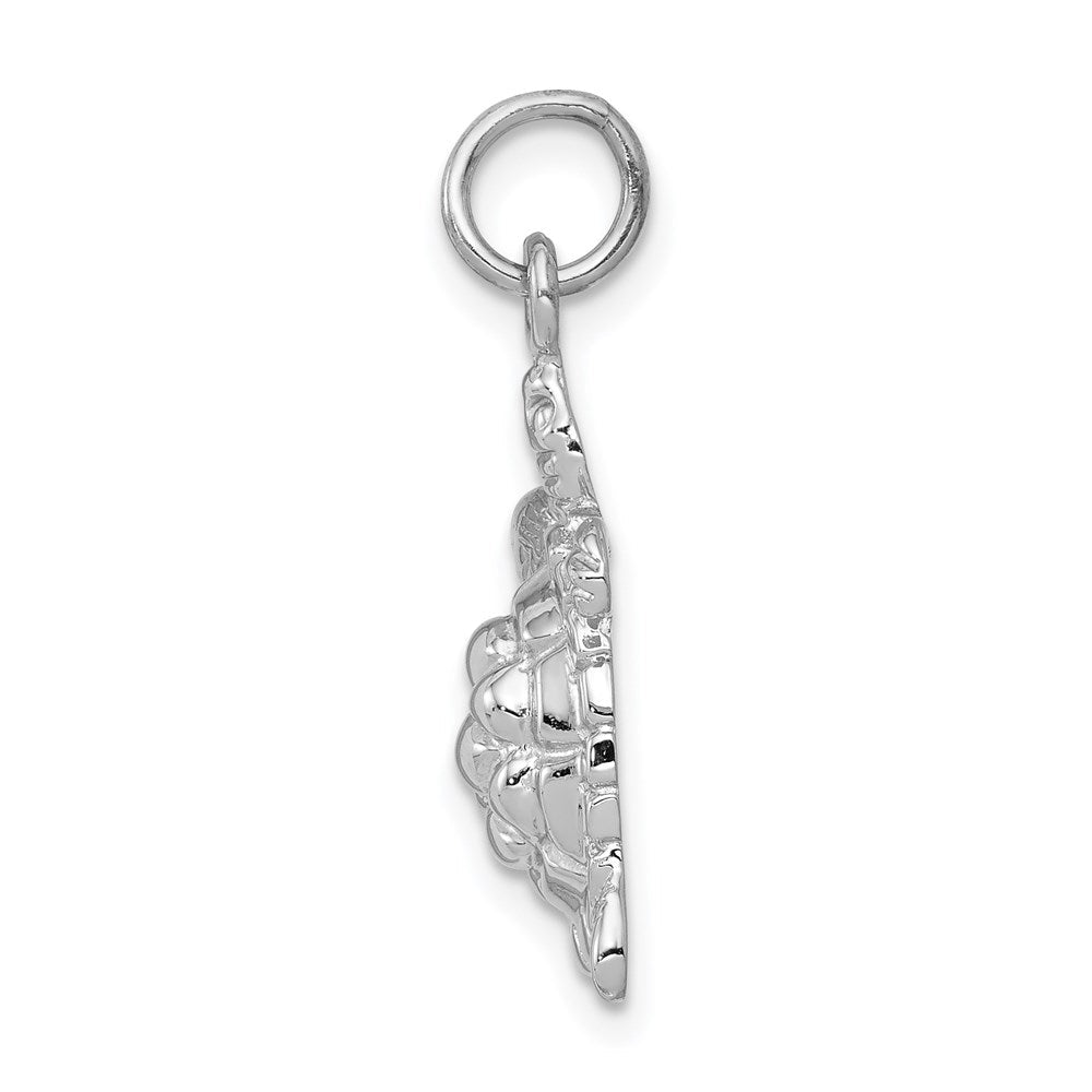 14K Weißgold massiver, polierter Schildkröten-Charm mit offener Rückseite