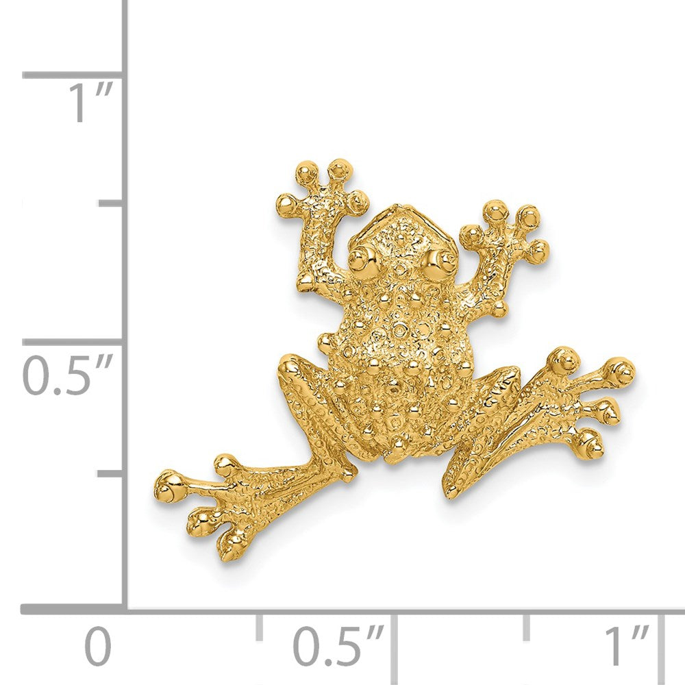 14K Gelbgold Massiv Poliert Offen-backed Frosch Anhänger