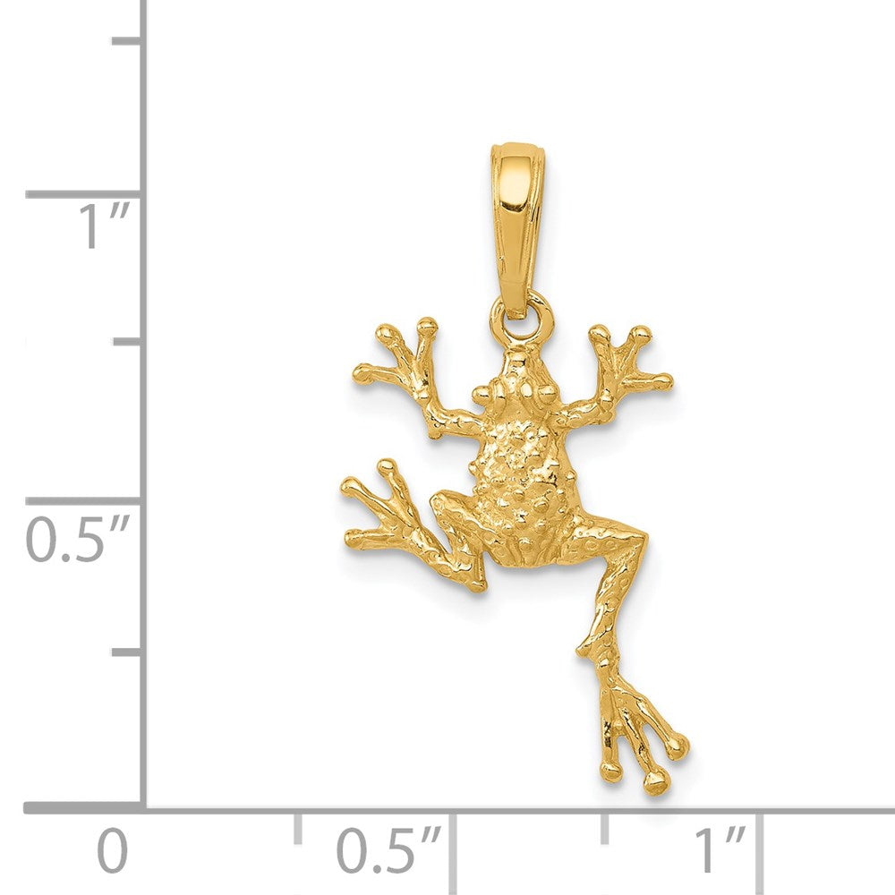 14K Gelbgold Massiv Poliert Offen-backed Frosch Anhänger