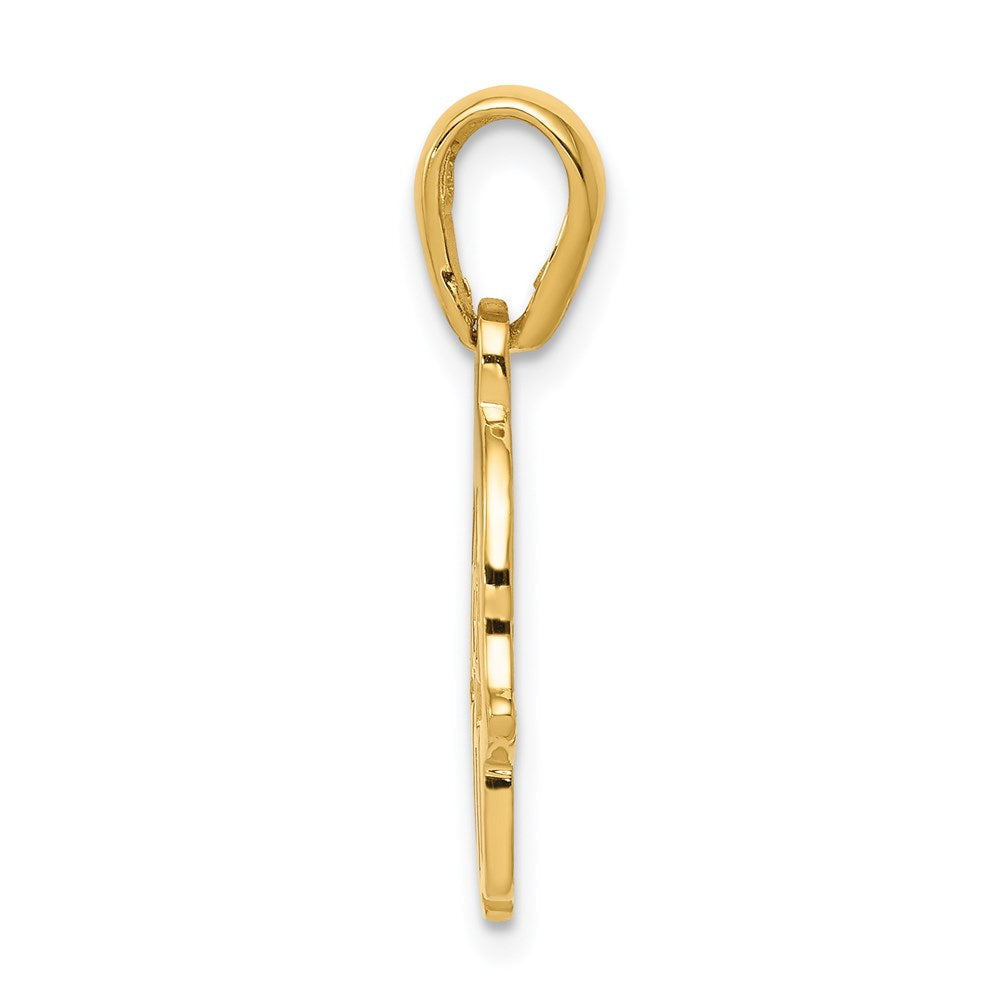 14K Gelbgold Davidstern-Chamseh-Anhänger