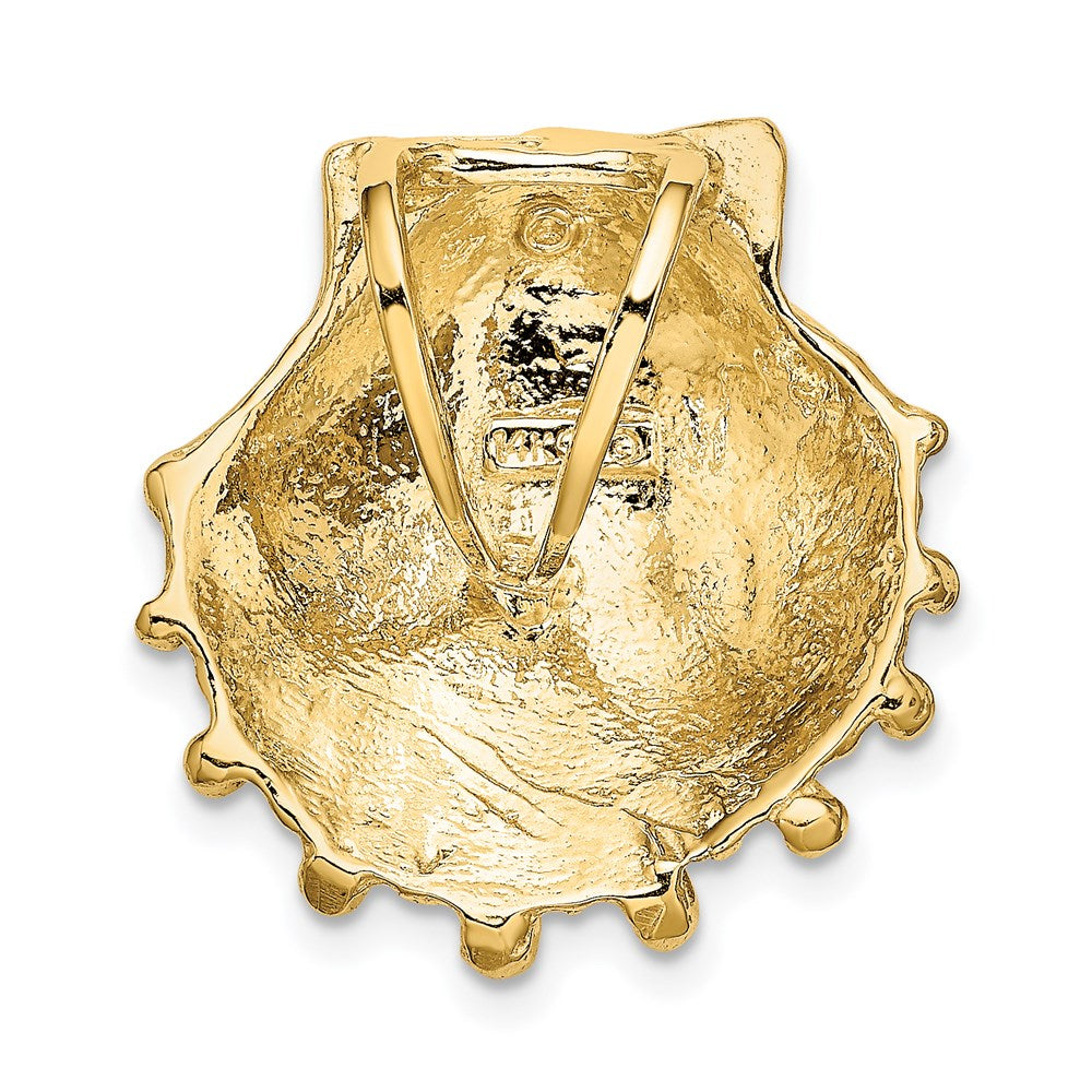 14K Gelbgold Klein Löwe Paw Muschel Anhänger