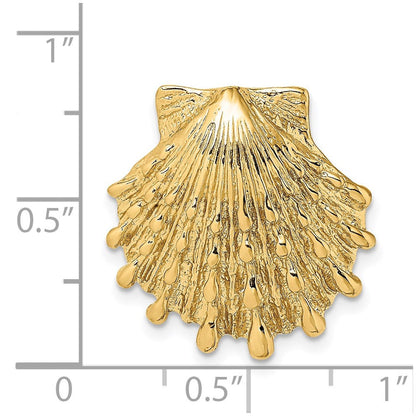 14K Gelbgold Klein Löwe Paw Muschel Anhänger