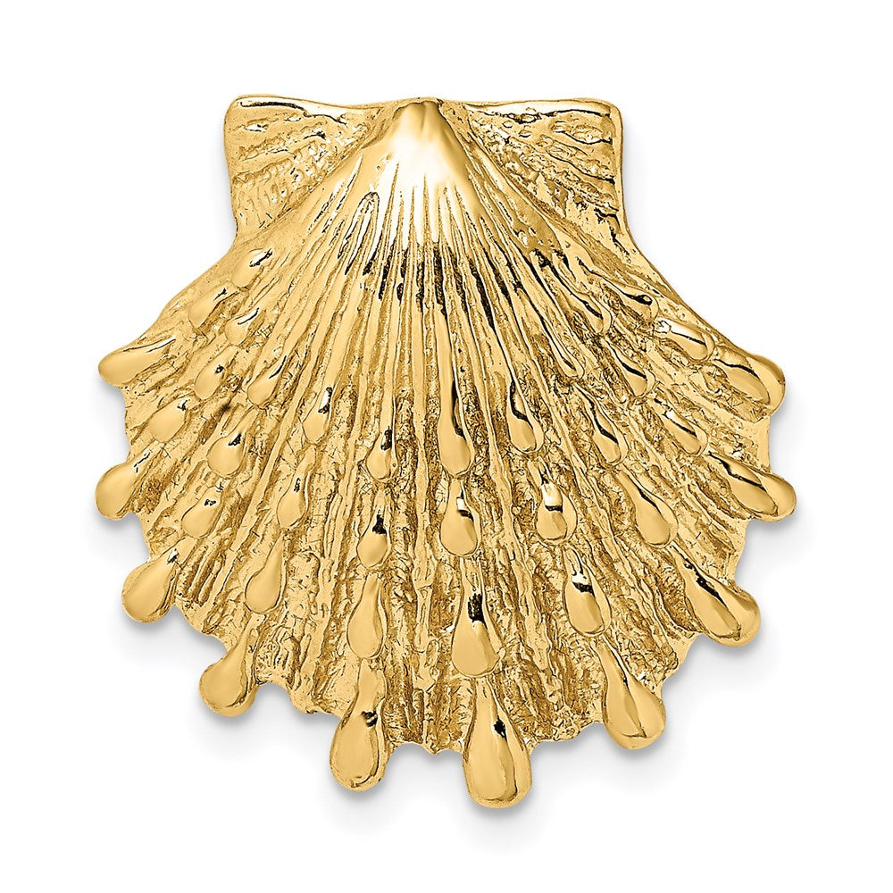 14K Gelbgold Klein Löwe Paw Muschel Anhänger