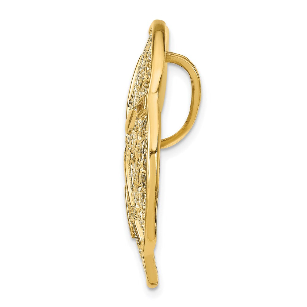 14K Gelbgold Sand Dollar Anhänger